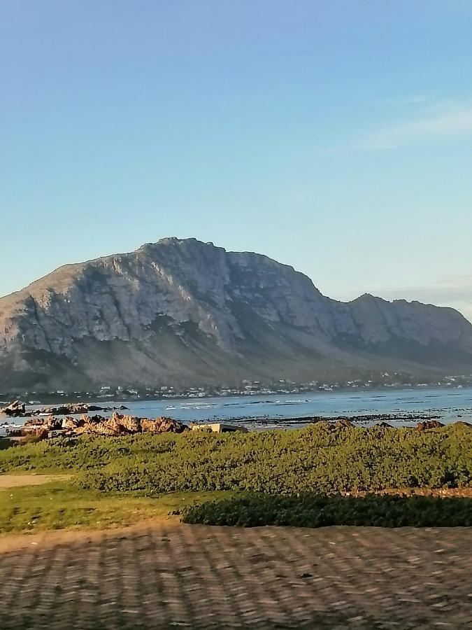 Just Chill Betty'S Bay Apartment Exterior photo